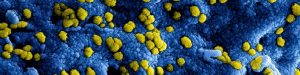 Voorzorgsmaatregelen Corona virus